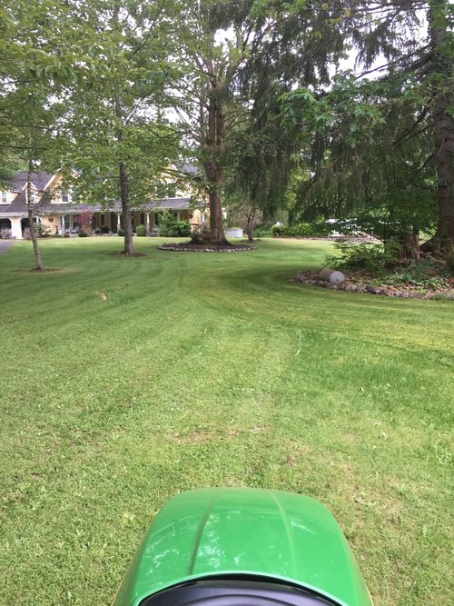 lawn mowing front yard in Clyde Hill