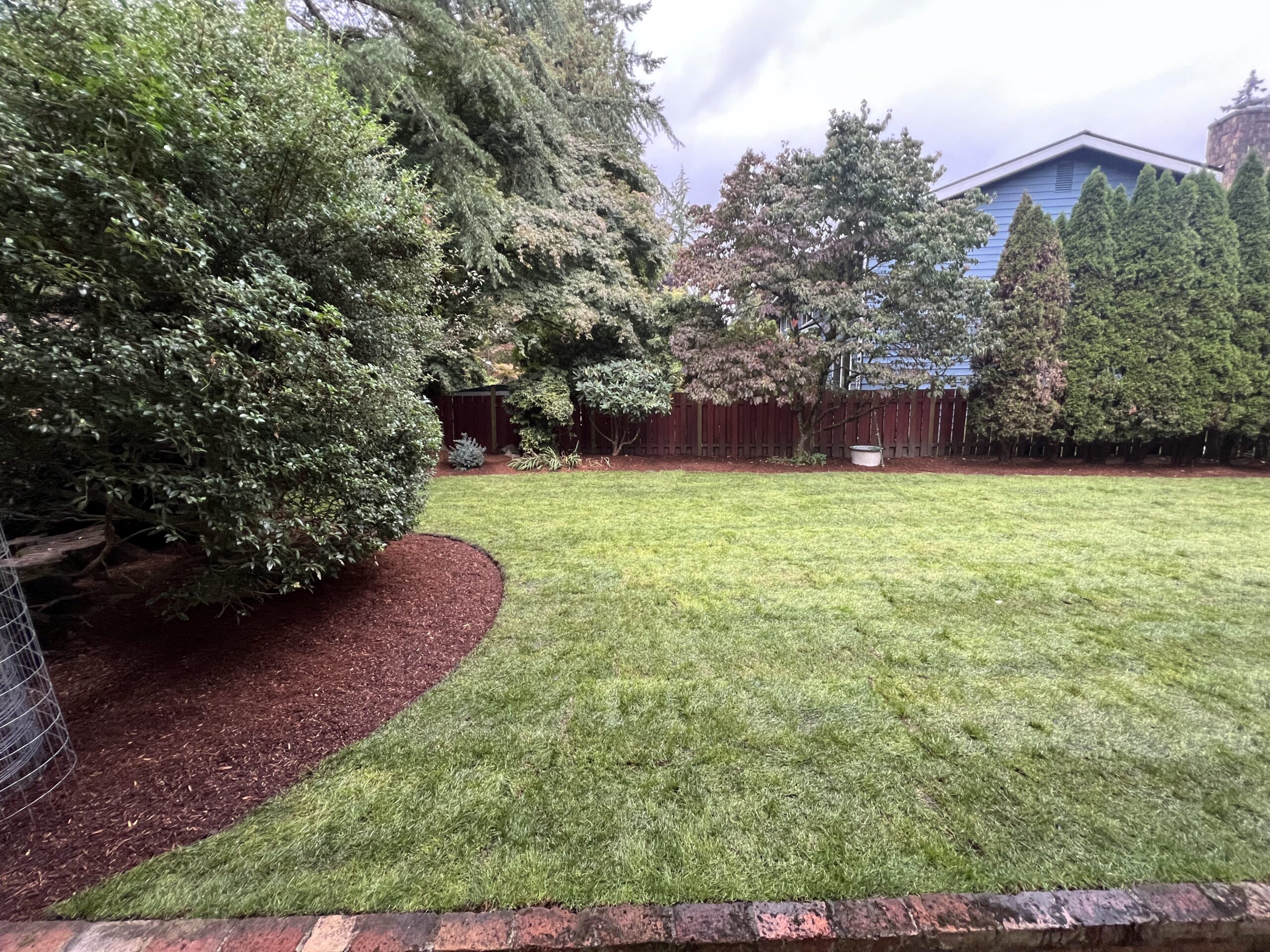 Freshly mowed lawn outside of Redmond home